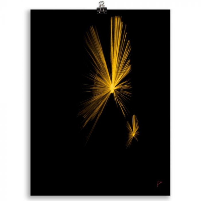 Reproducción de arte en lámina 30x40 cm - Mariposas - Diseño Digital - Abstracto - Fotografía y Pintura -pintado por Fuli