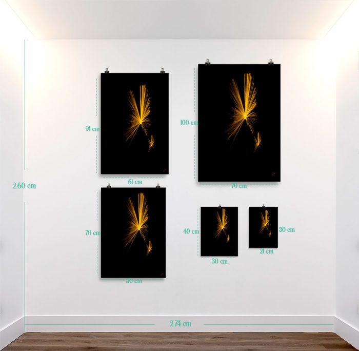 Reproducción de arte en lámina - medidas - Mariposas - Diseño Digital - Abstracto - Fotografía y Pintura -pintado por Fuli